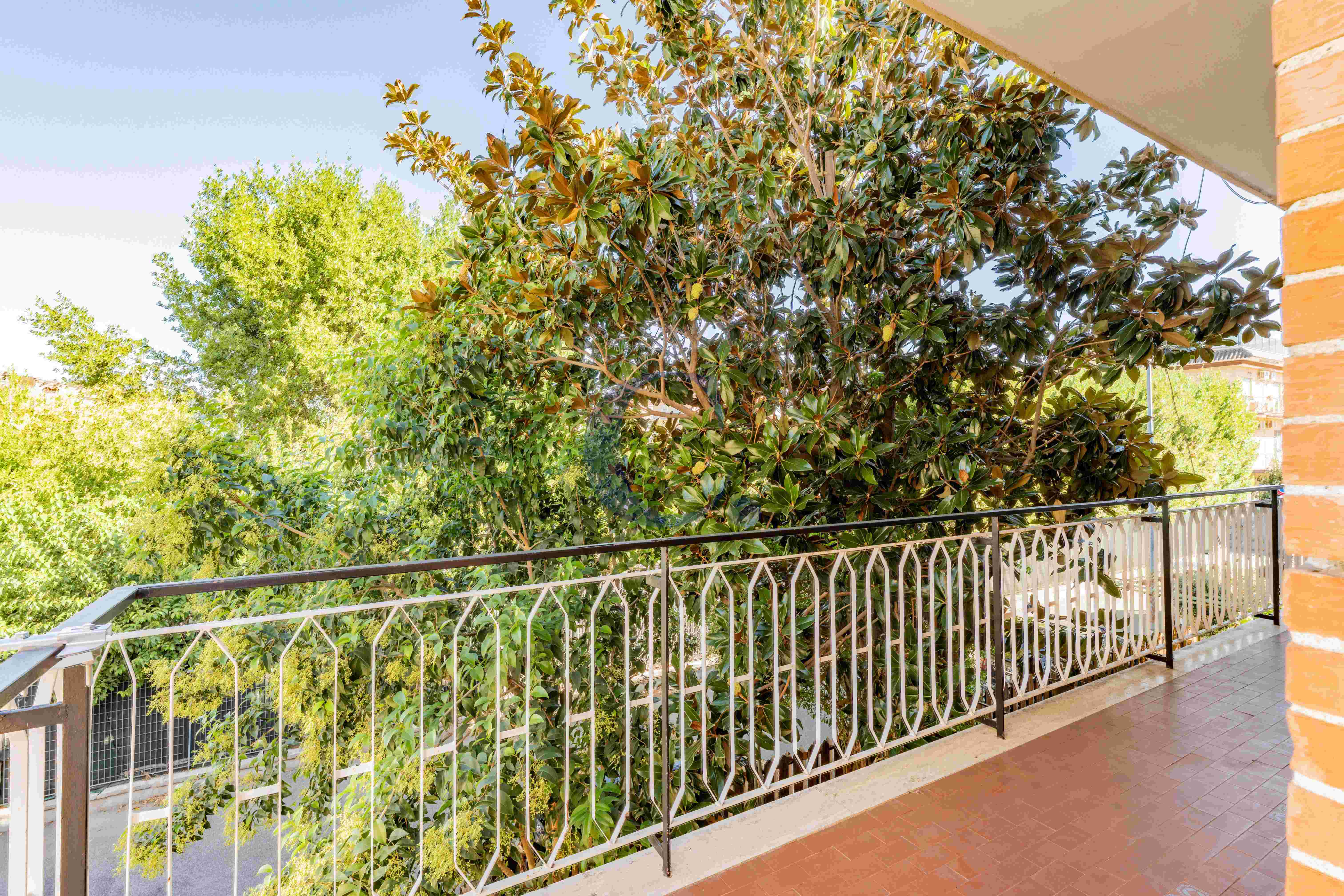 Appartamento Ristrutturato Con Balcone Perimetrale E 2 Camere Matrimoniali – Torre Angela - Immagine 33