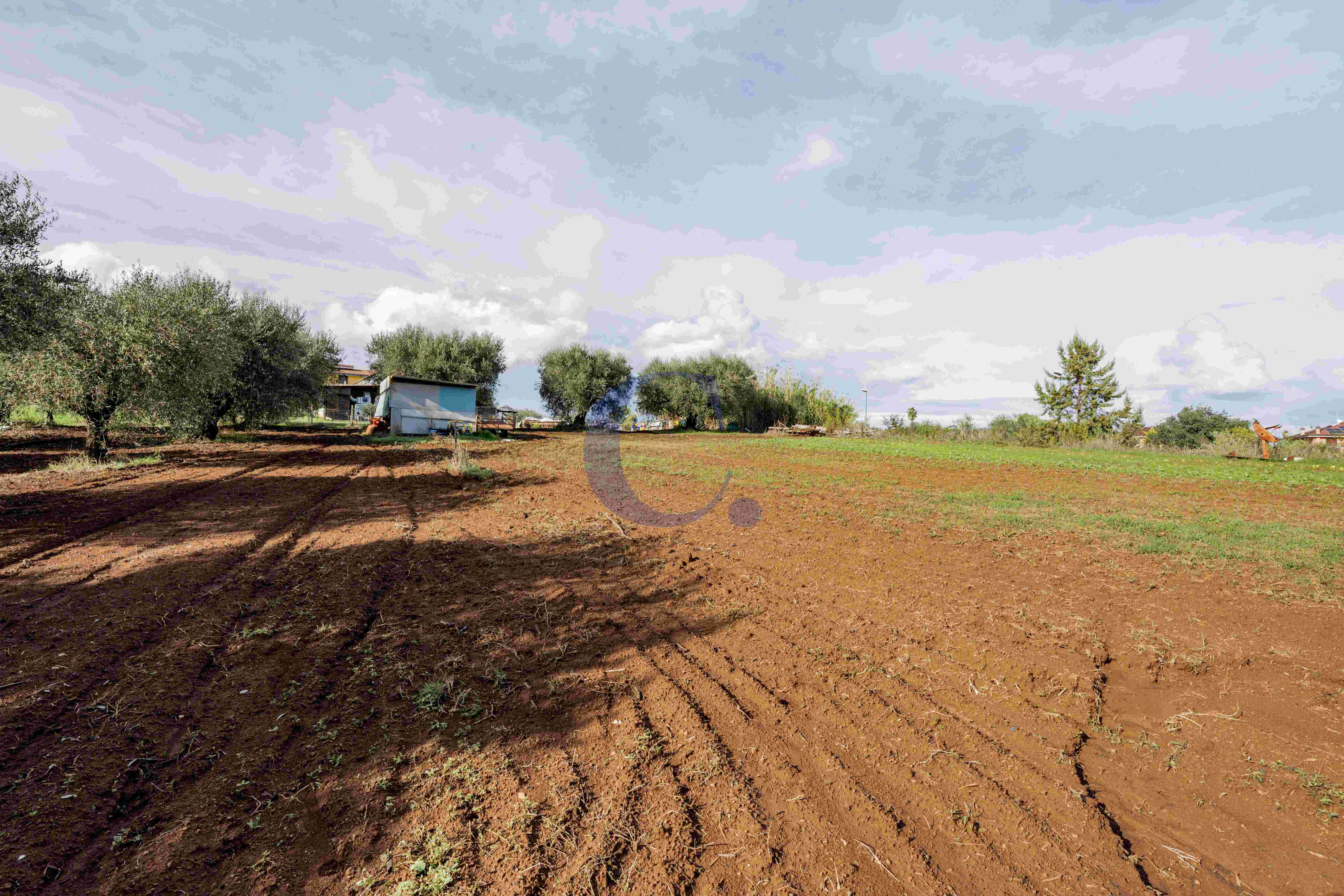 Pomezia - Terreno Edificabile - Immagine 4