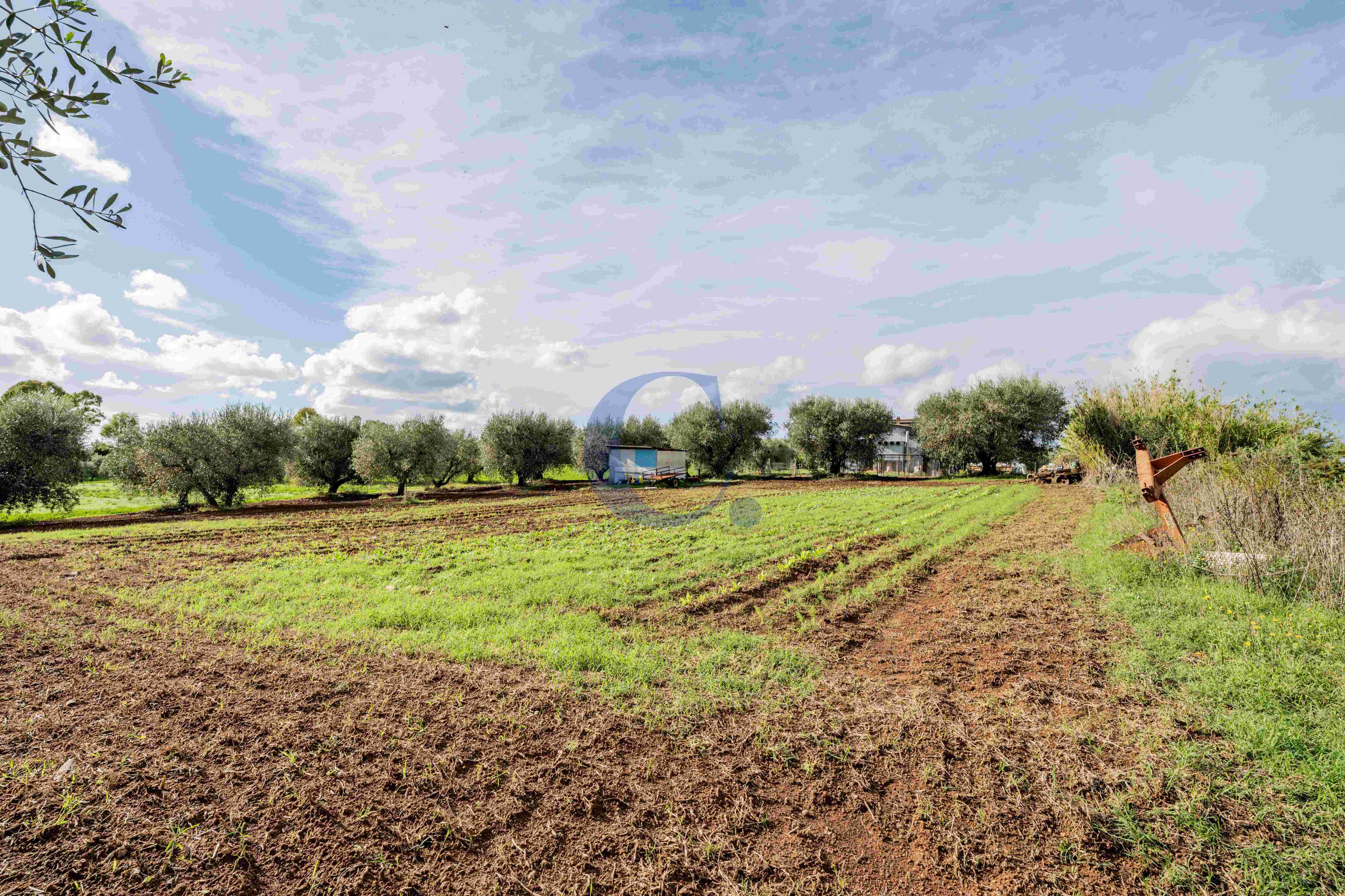 Pomezia - Terreno Edificabile