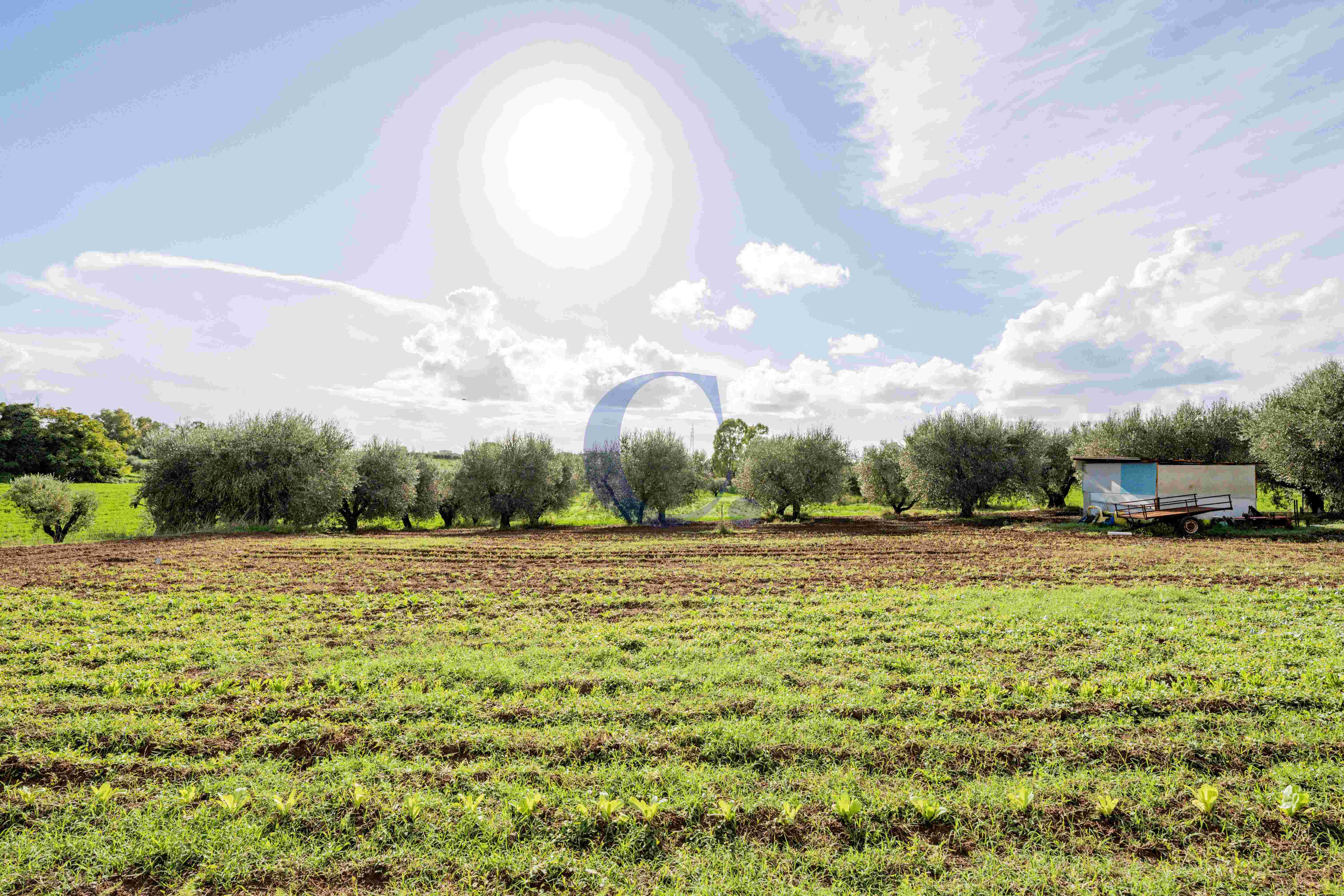Pomezia - Terreno Edificabile - Immagine 11