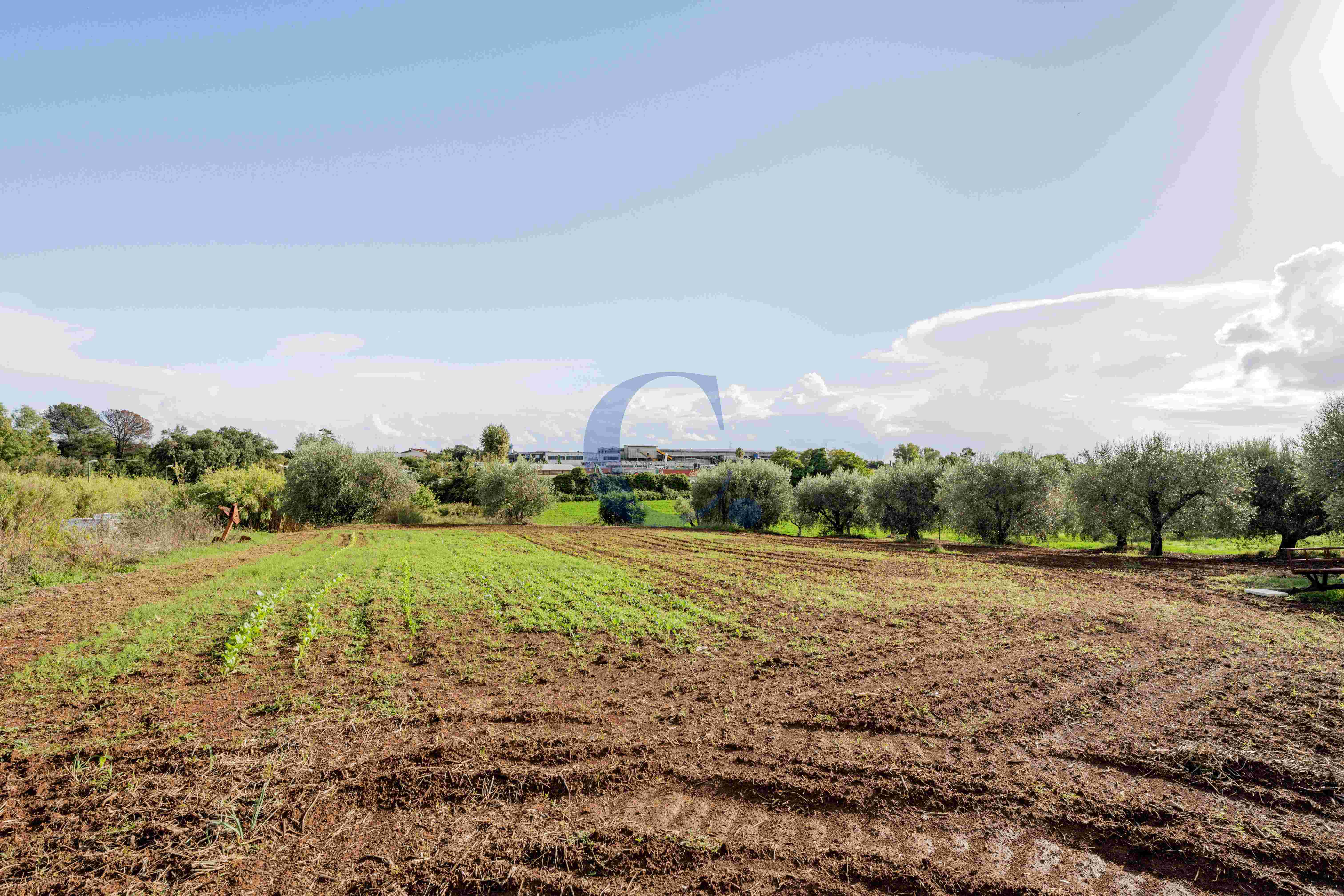 Pomezia - Terreno Edificabile - Immagine 9