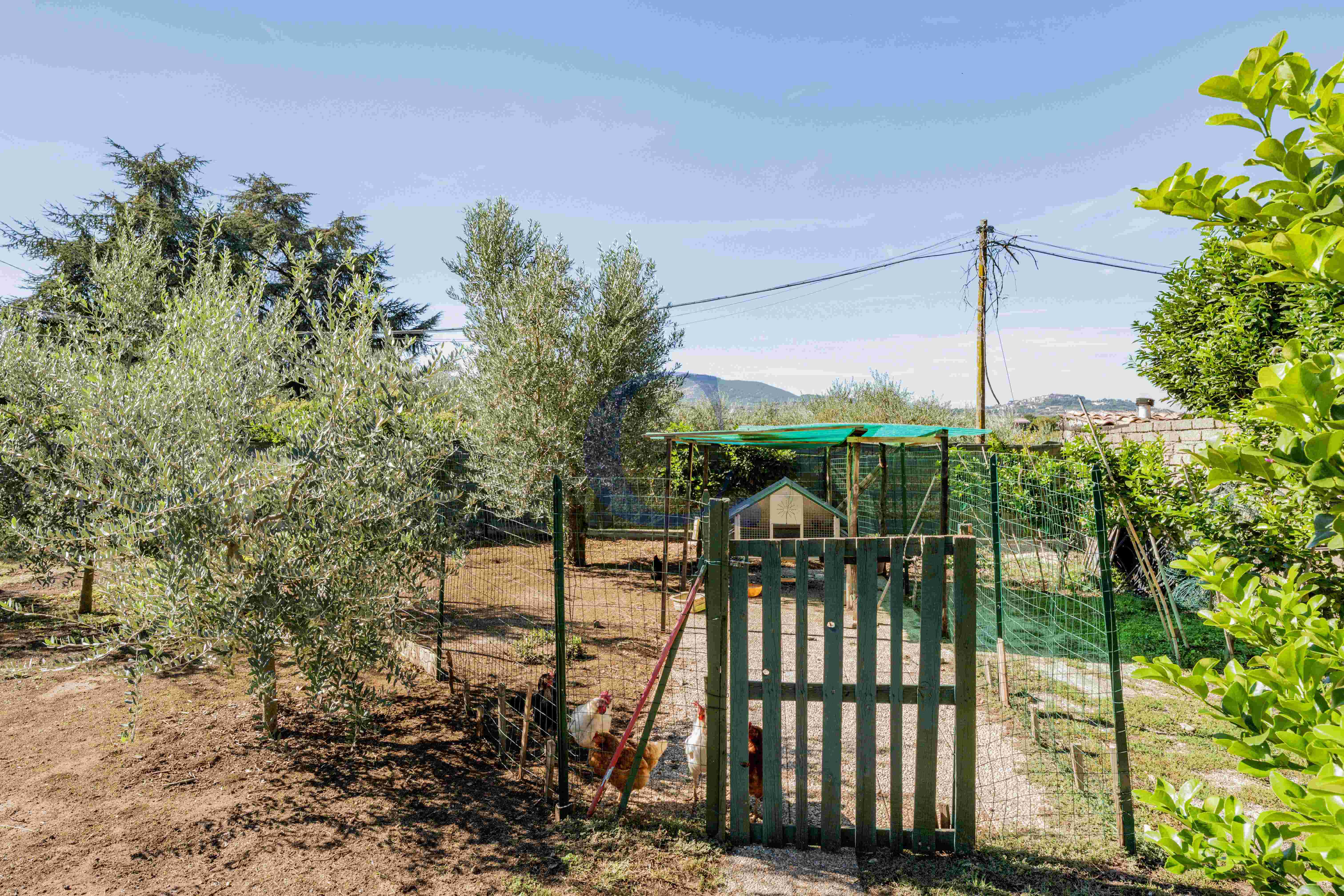Villa Con Ampio Giardino Privato, Spazi Generosi E Comodi Posti Auto - Immagine 75